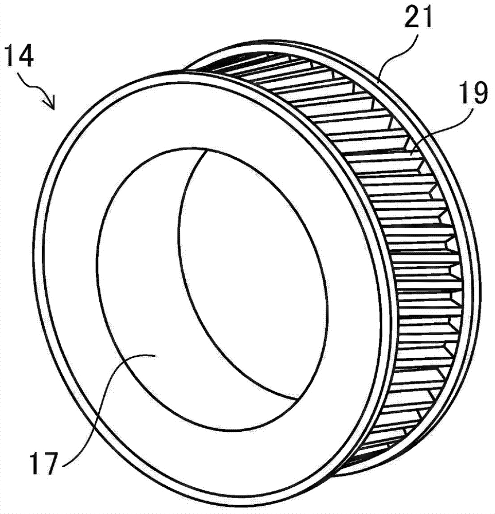 Toothed belts and belt reduction gears provided with same