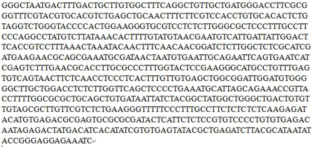 Characteristic nucleotide sequence, primer, kit and method for authenticating Flammulina fennae