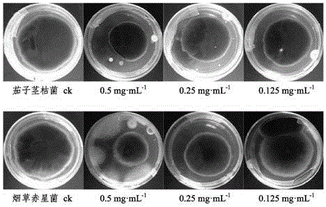 Application of monomeric compound in wisteria sinensis sweet caulis and separation and purification method of monomeric compound