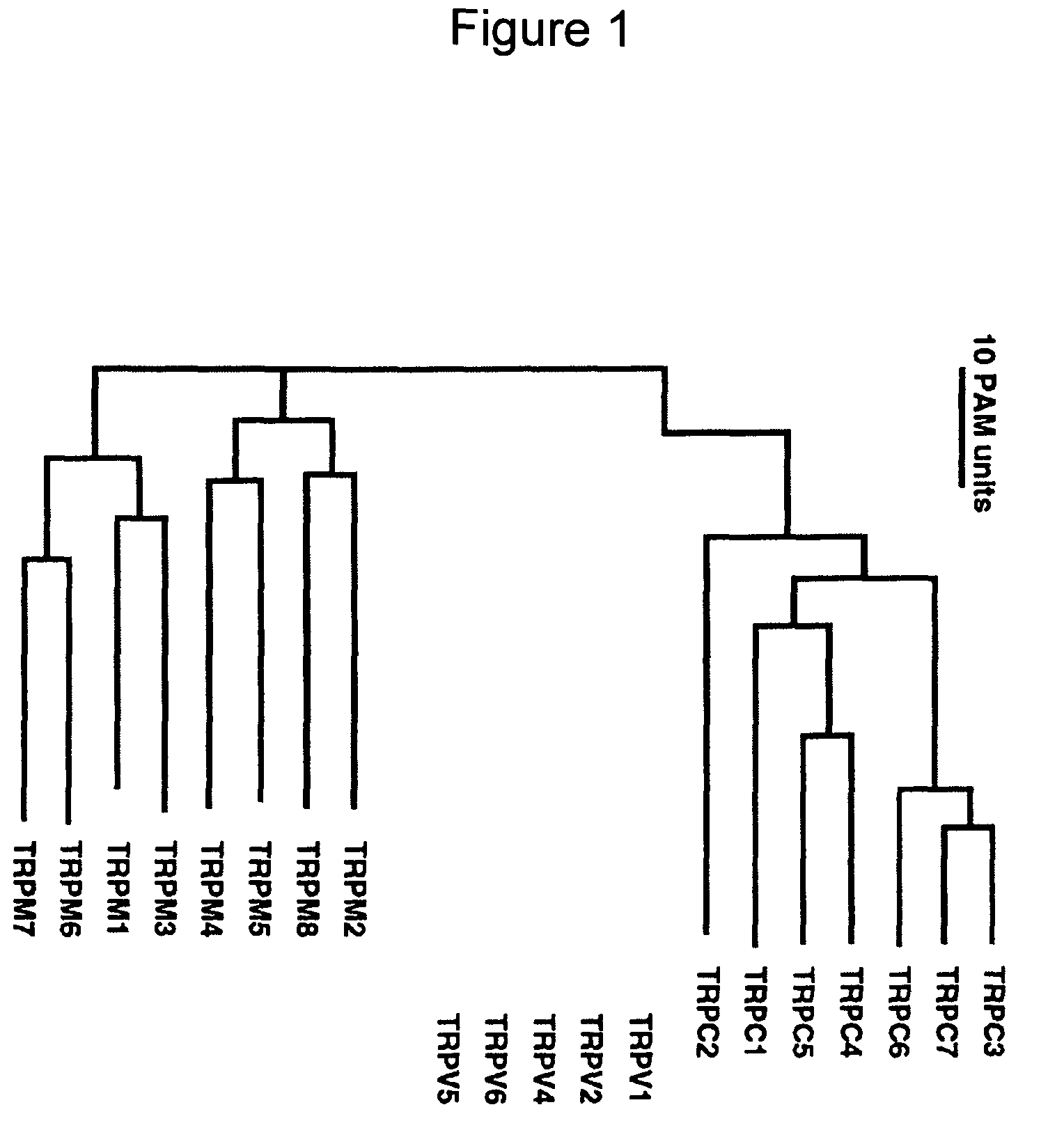 Method of determining inhibition of binding to TRPM7 protein