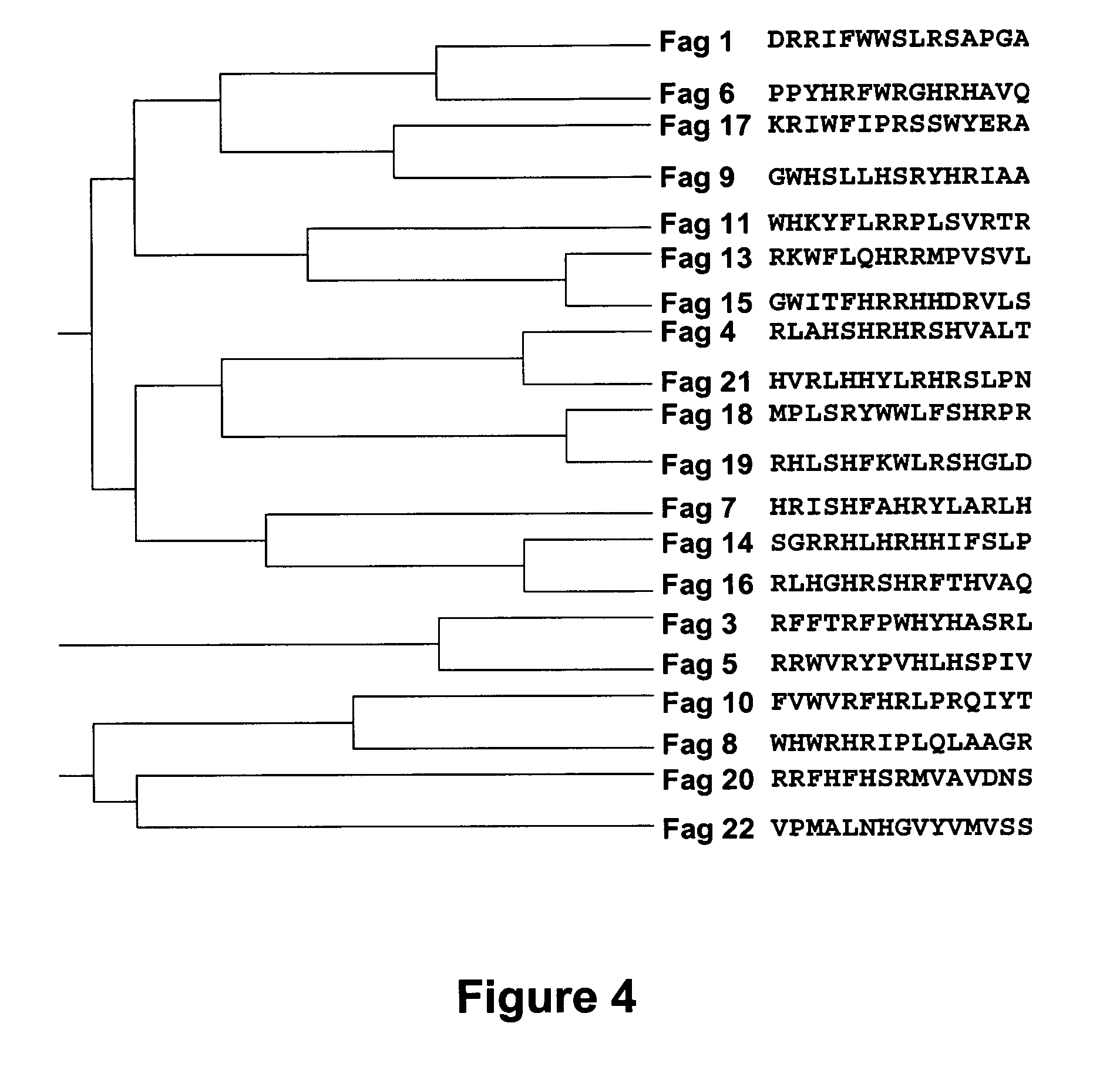 Peptides with the capacity to bind to transforming growth factor b1 (tgf-b1)