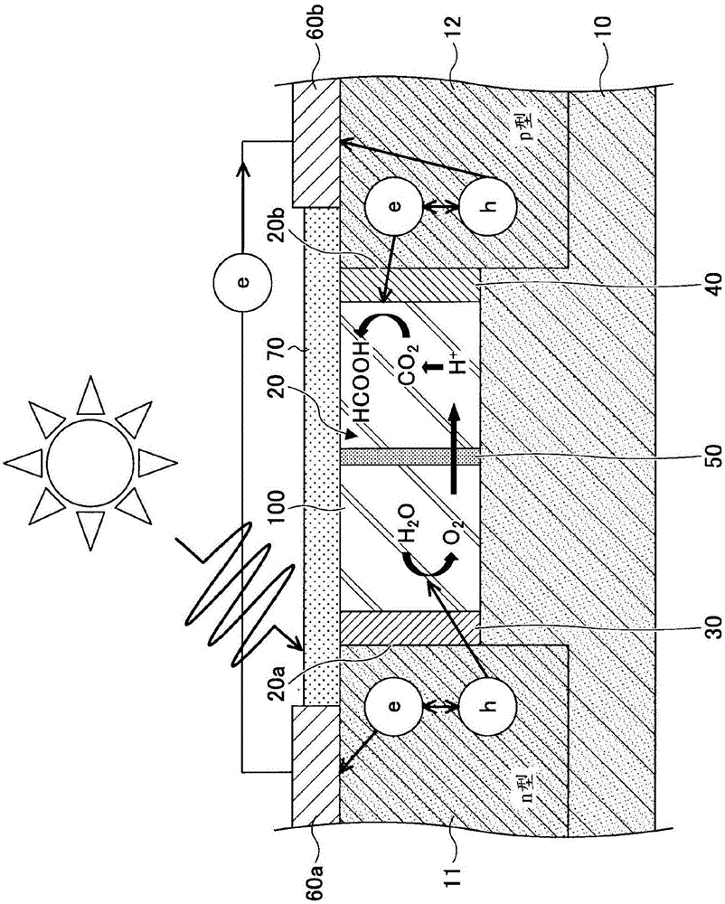 Photosynthetic apparatus