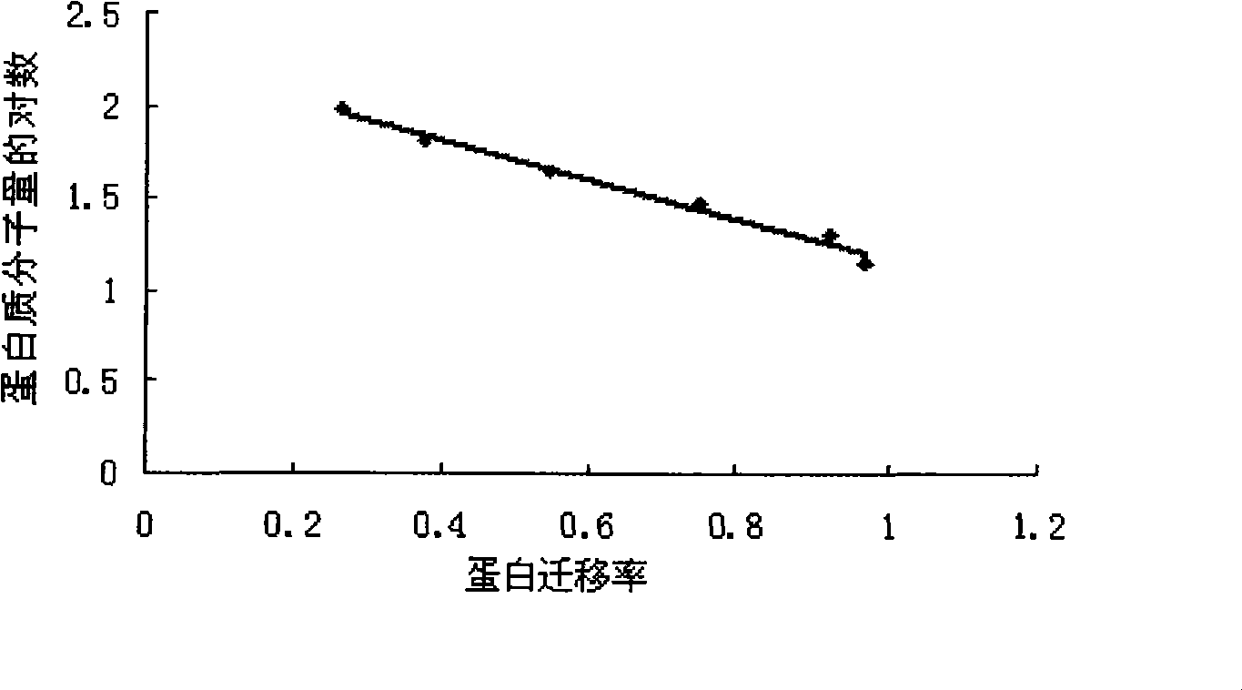 Vaccine for fish and application