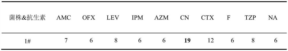 Application of vanillic acid in inhibiting the growth of multi-drug resistant Enterobacter hallii