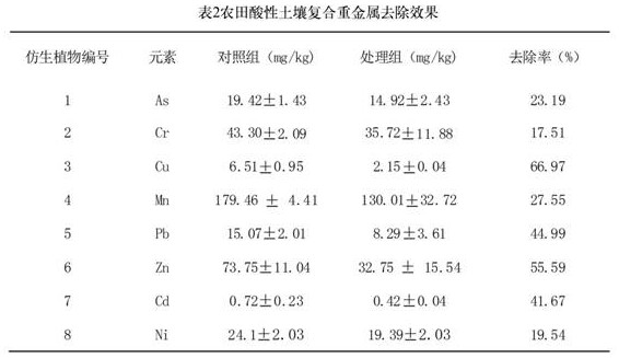 A biomimetic plant based on accelerated transpiration removal of soil heavy metal pollution and its application