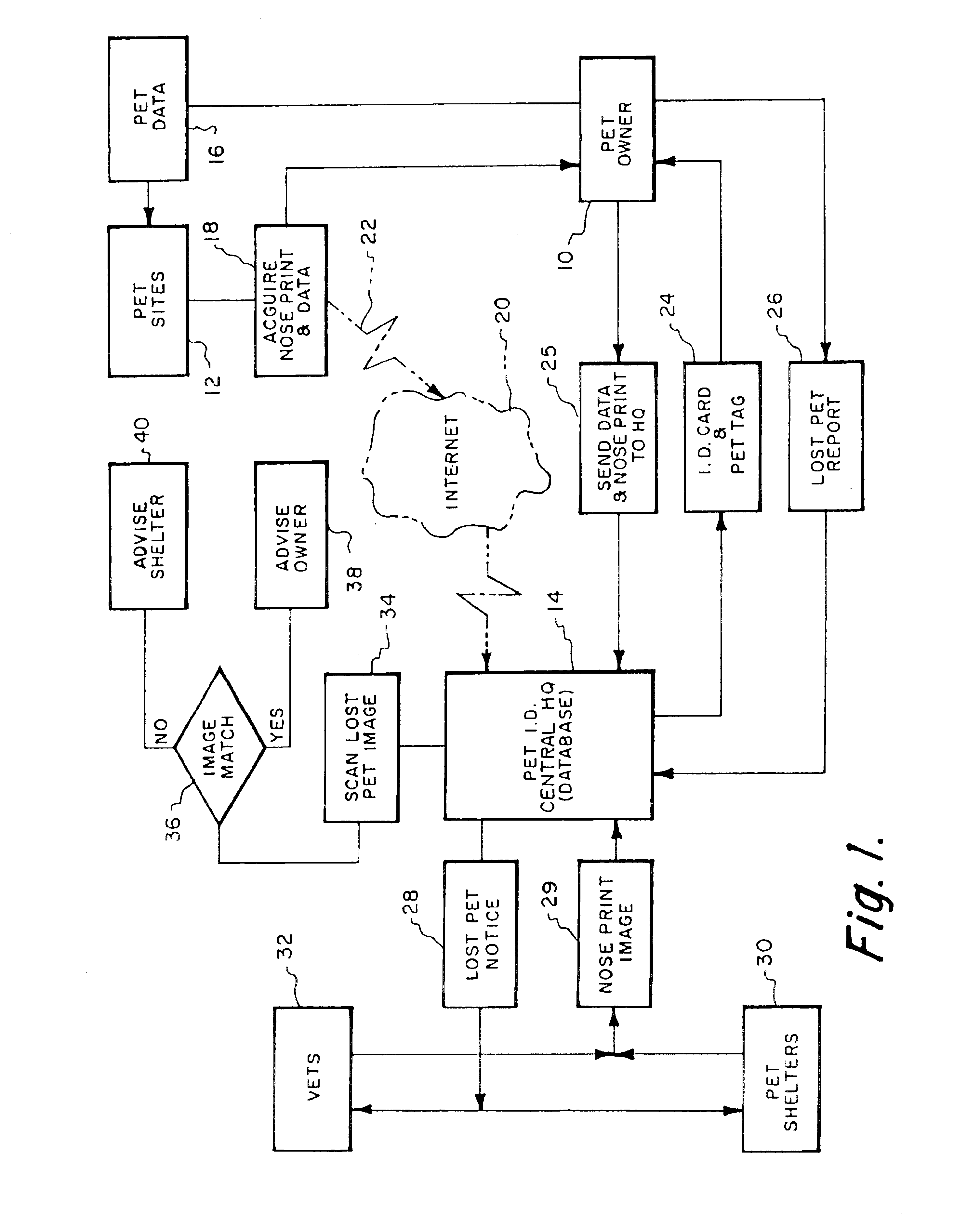 Pet identification system and method