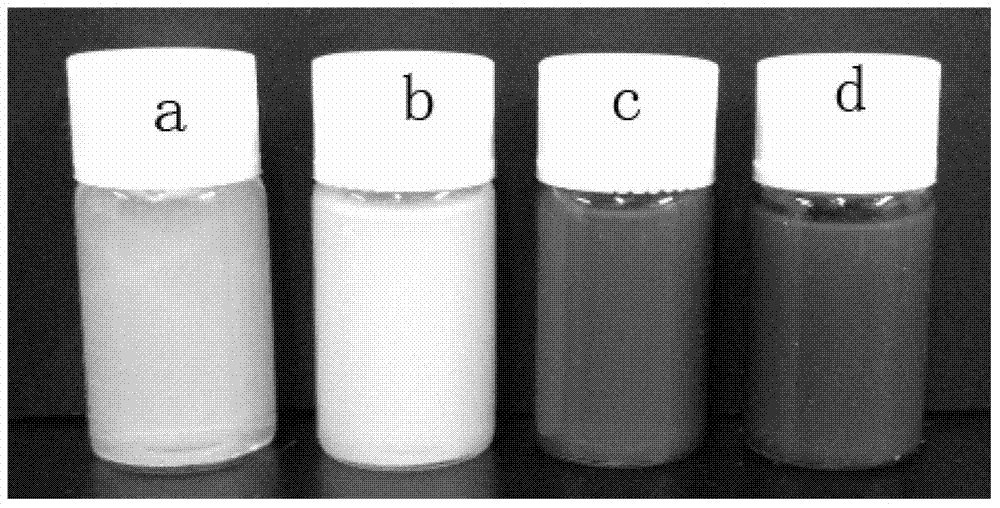 Magnetic acrylamide hydrogel and preparation method thereof