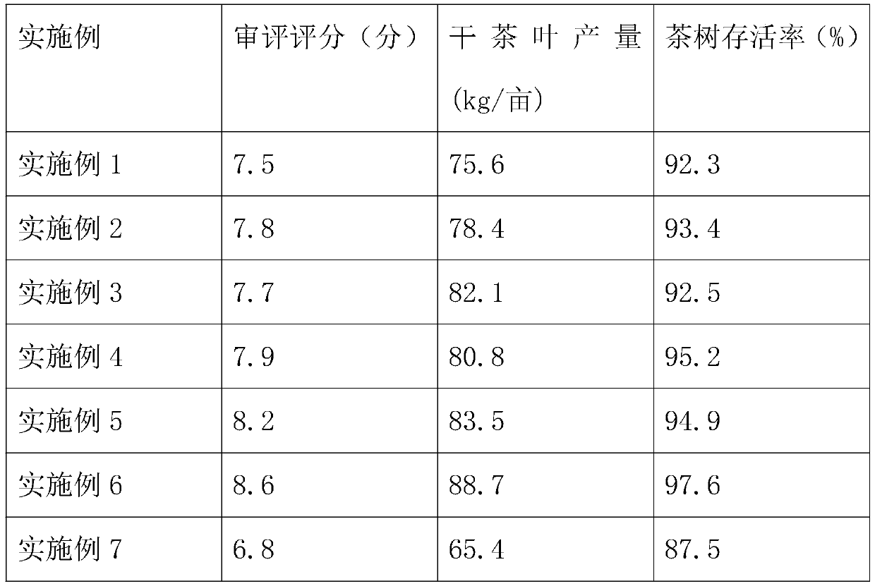 Method for planting high-yield high-quality tea