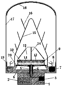 Seedling cultivation device for cucumber planting