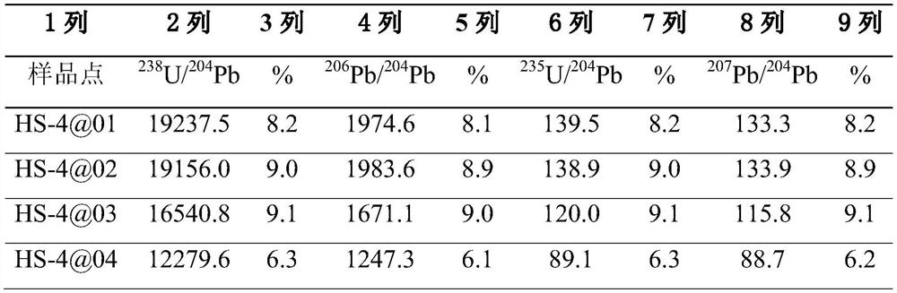 A method for determining the age of high common lead zircons and the initial lead isotopic composition of the source region