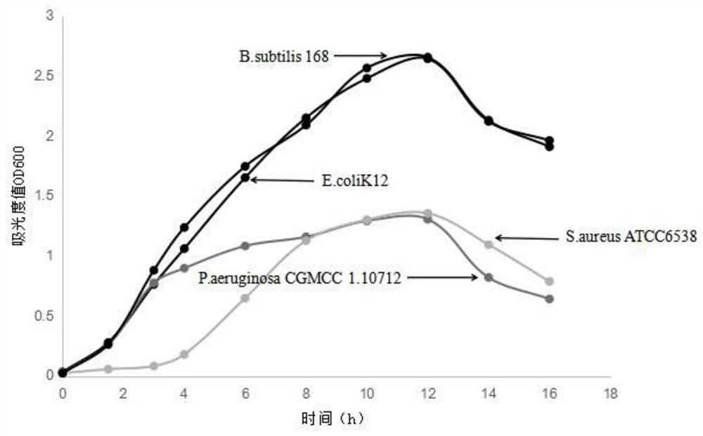 Antibacterial peptides with high antibacterial activity and application thereof