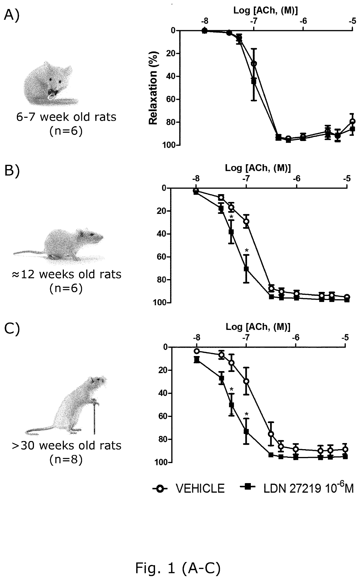 Tissue transglutaminase modulators for medicinal use