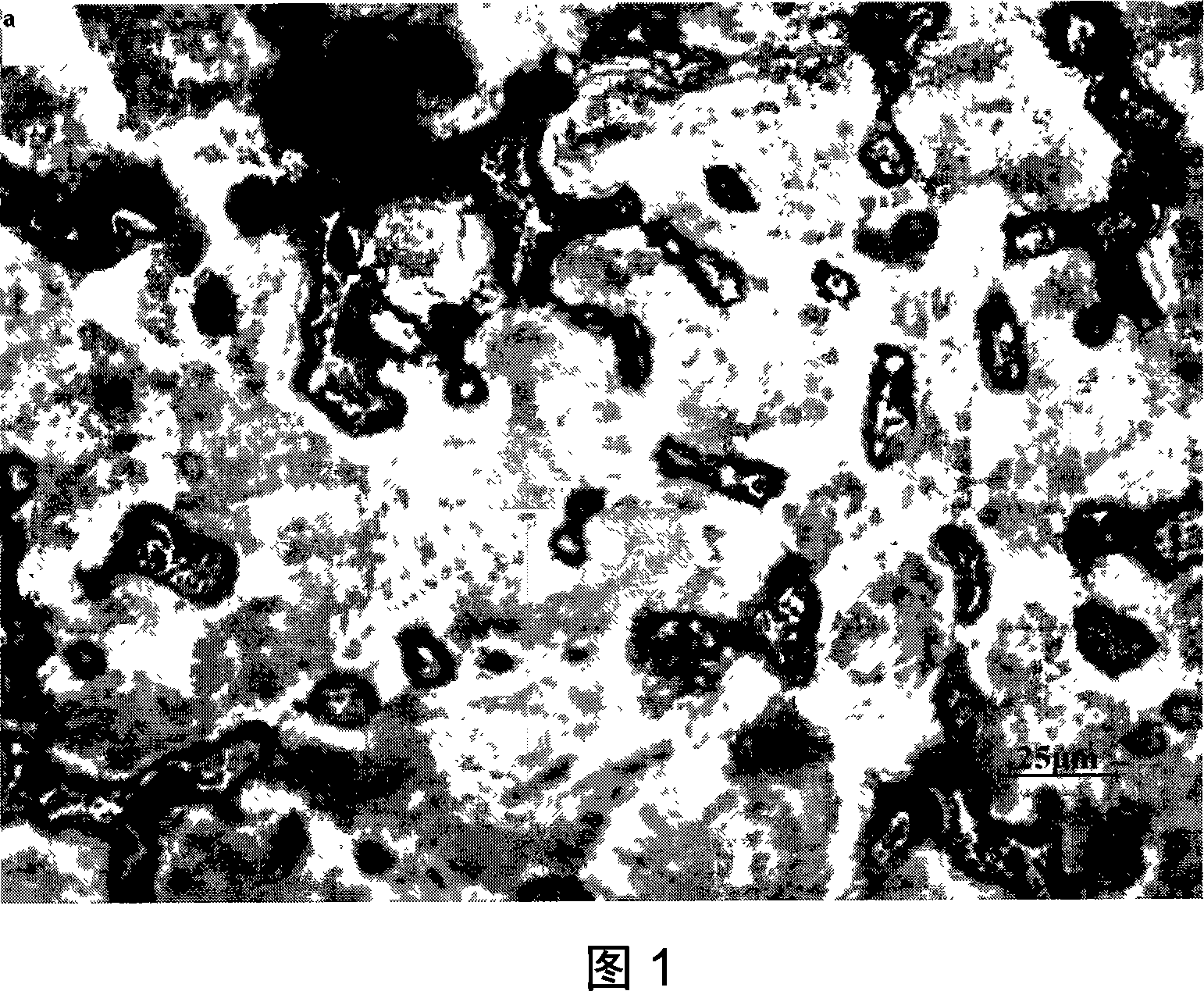 Method of preparing thin crystal layer on magnesium alloy surface