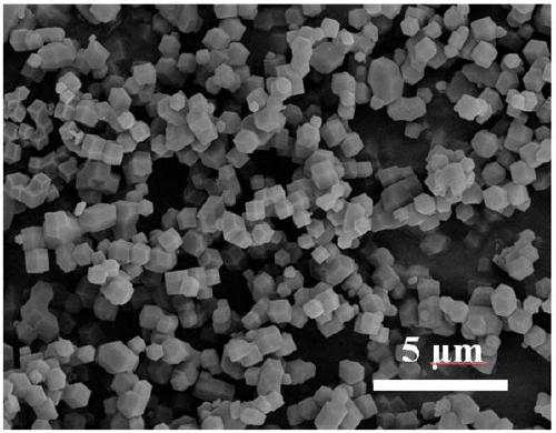 A kind of cobalt ditelluride electrocatalytic oxygen evolution composite material and its preparation method and application