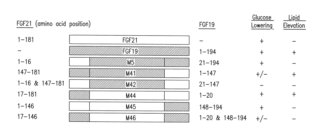 Methods and compositions for the treatment of metabolic disorders and diseases