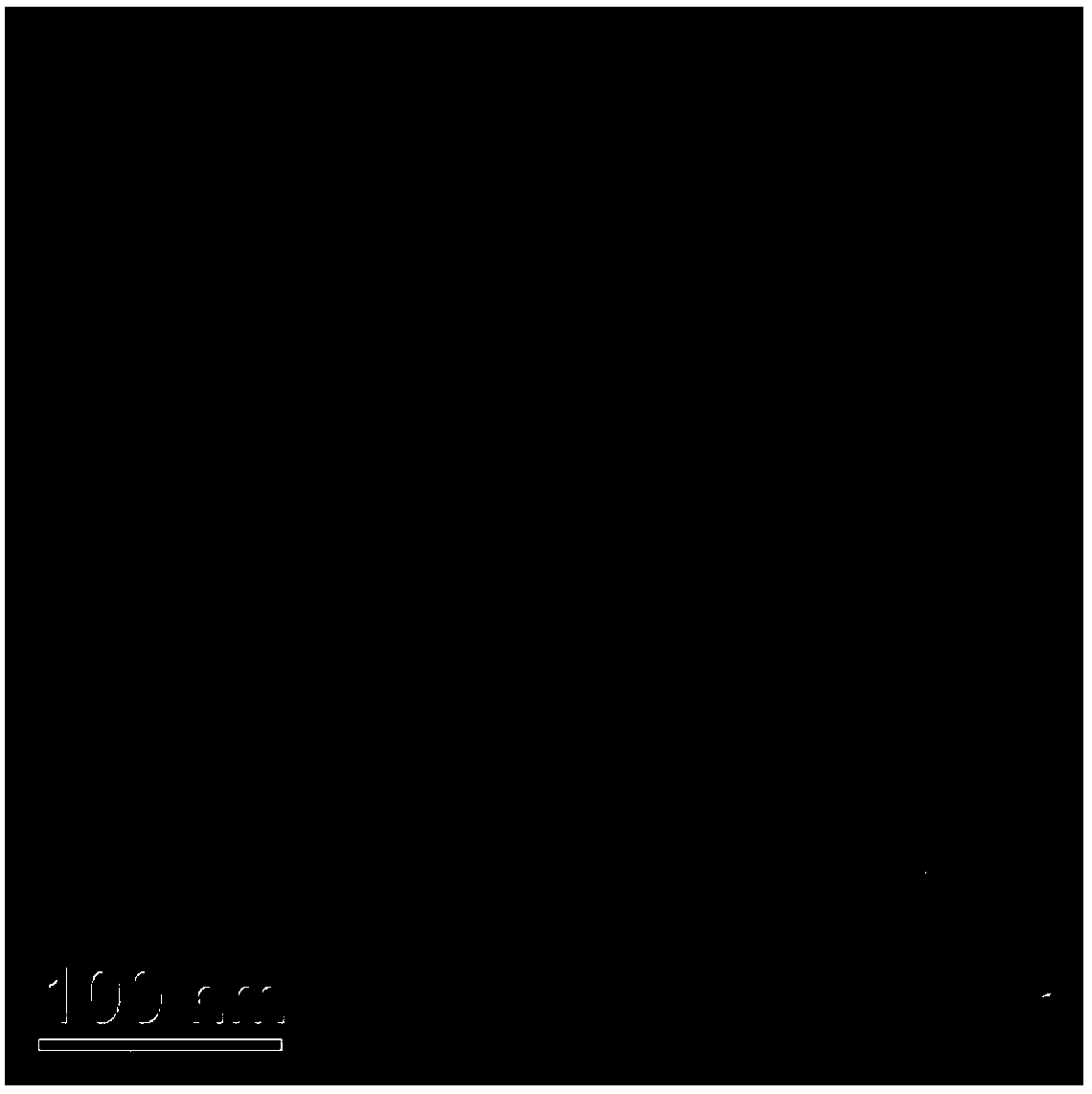 Nitrogen-doped carbon-coated nickel composite nano-carbon electrolysis water catalyst as well as preparation method thereof