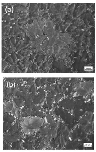Method for improving thermal cracking tendency of ZL205A alloy based on nano Y2O3 particles
