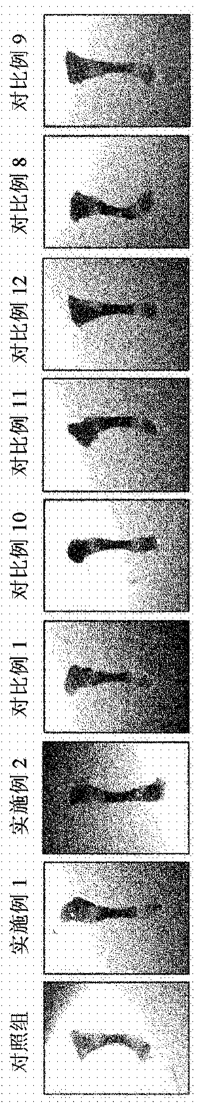 Pharmaceutical composition containing indirubin derivative as active ingredient