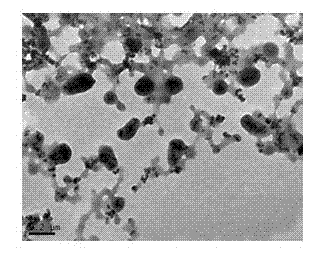 Nanorealgar-carrying magnetic albumin nanospheres and preparation method thereof