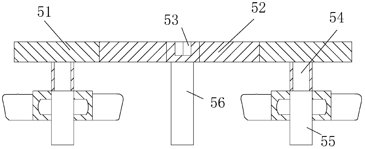 Plant essential oil extraction device