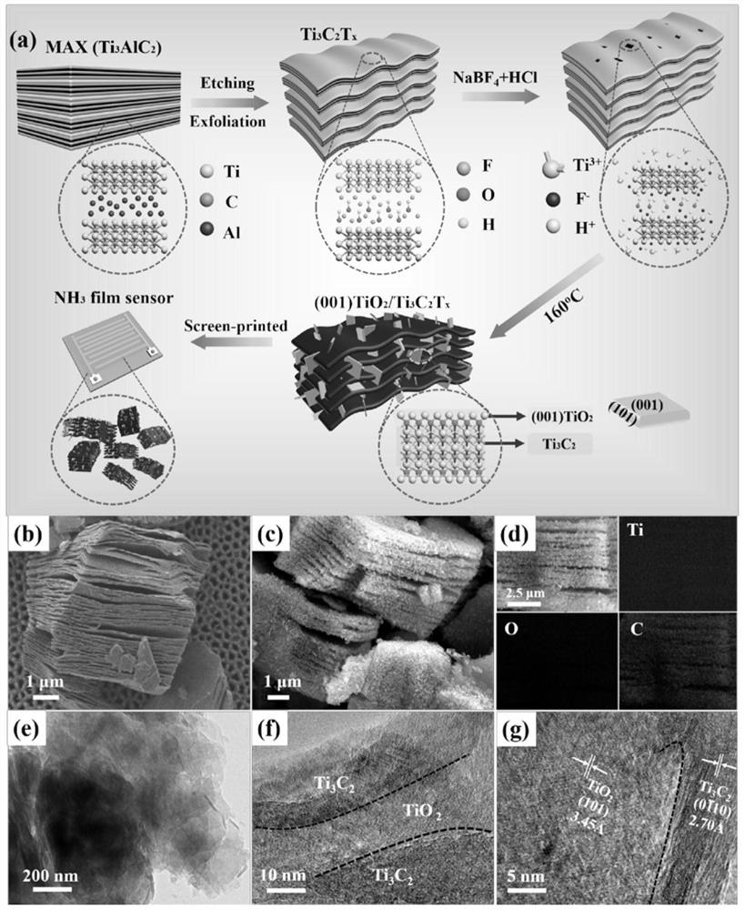 Preparation method of Ti3C2Tx-based ammonia gas sensor and photo-assisted sensing application of Ti3C2Tx-based ammonia gas sensor