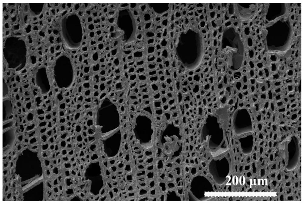 Preparation method and application of a derivatized functional porous wood for electrolyzing water to produce hydrogen