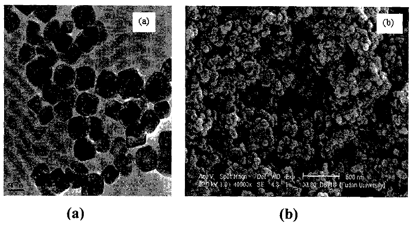 Amino magnetic nanoparticles immobilized on the surface of metal copper ions and its preparation method and application