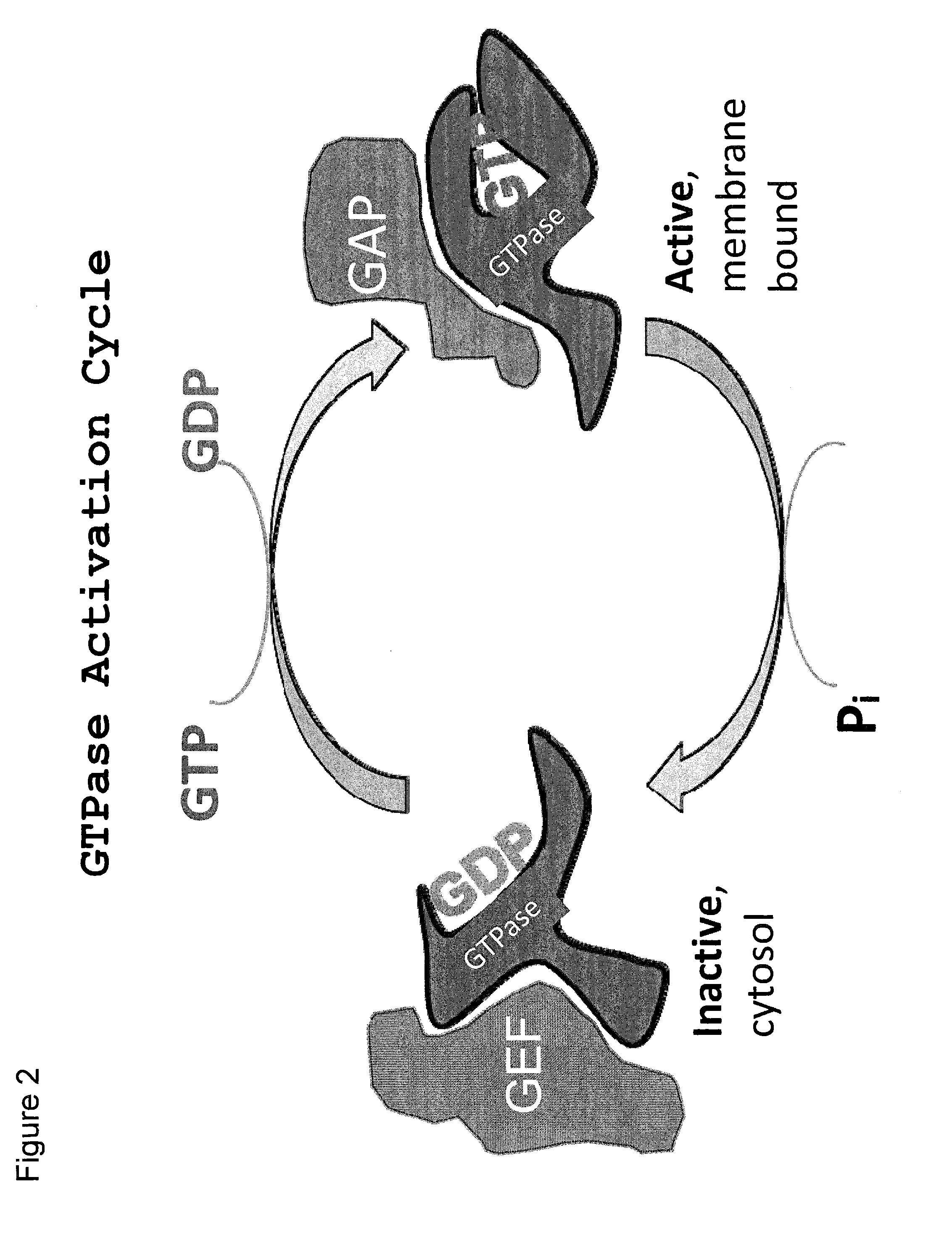 Rab7 GTPase inhibitors and related methods of treatment