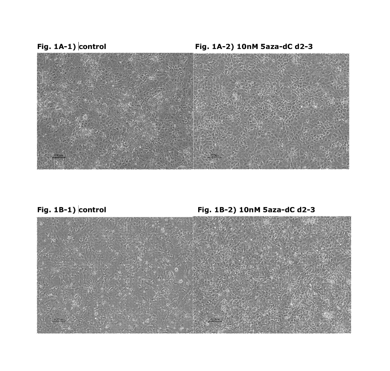 Methods for producing mammalian pluripotent stem cell-derived endodermal cells