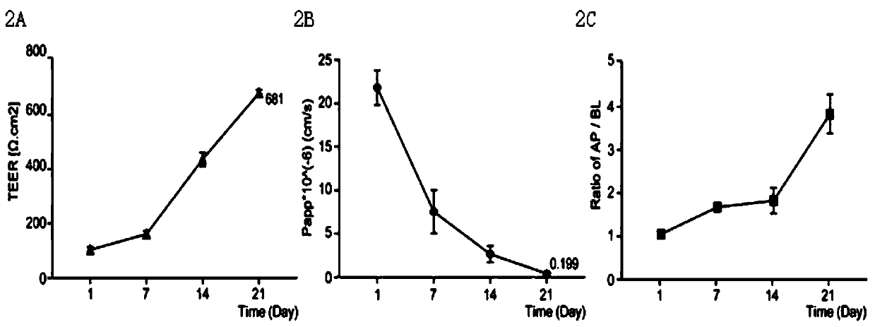 Establishment method of heavy metal oral bioaccessibility detection system