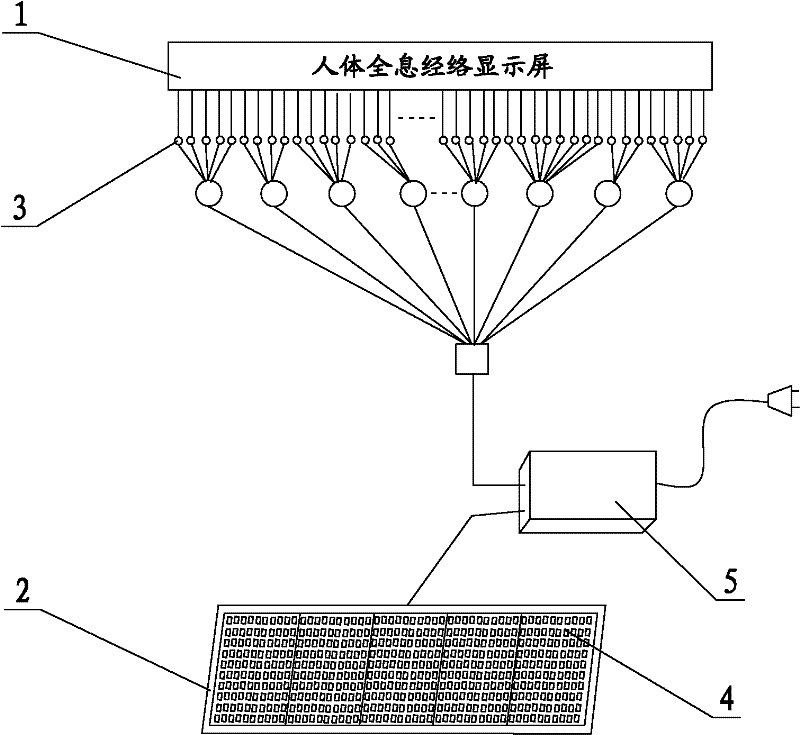 Digitized display device of holographic human body meridian teaching system