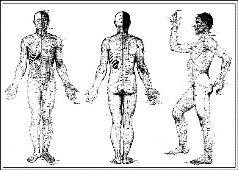 Digitized display device of holographic human body meridian teaching system