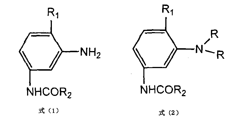 Alkylation preparation method for aniline intermediate