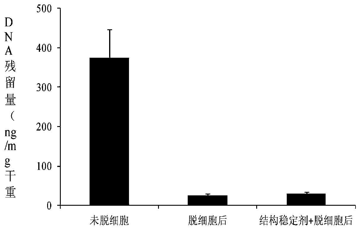 Novel dermal matrix decellularization method