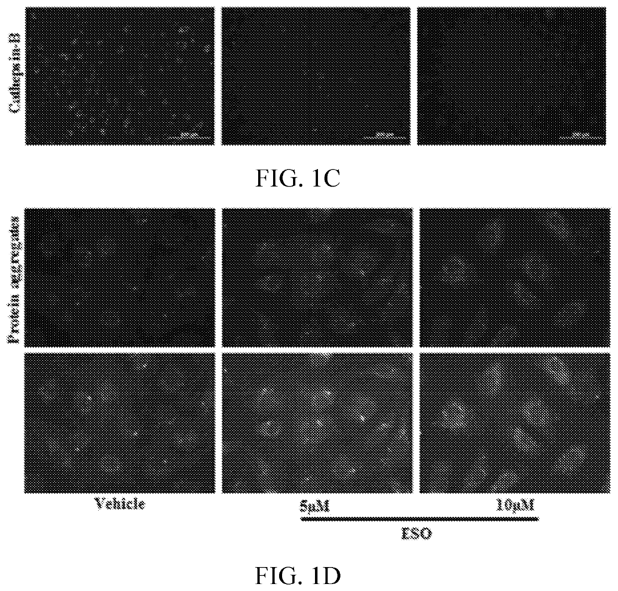 Induction of senescence using proton pump inhibitors