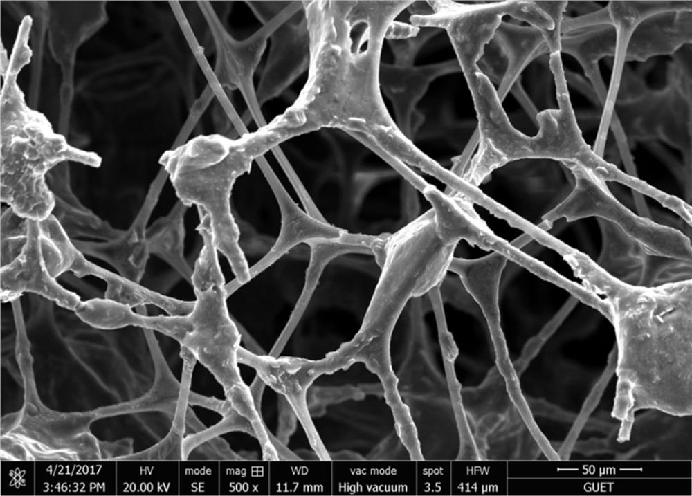 Template-based three-dimensional network carbon material/polymer functional composite material and its preparation method