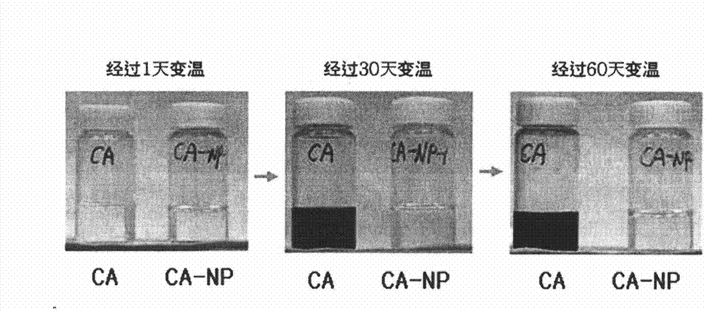 Caffeoyl-alpha-neoendorphin peptide derivative and use thereof as an anti-itch and anti-atopic material