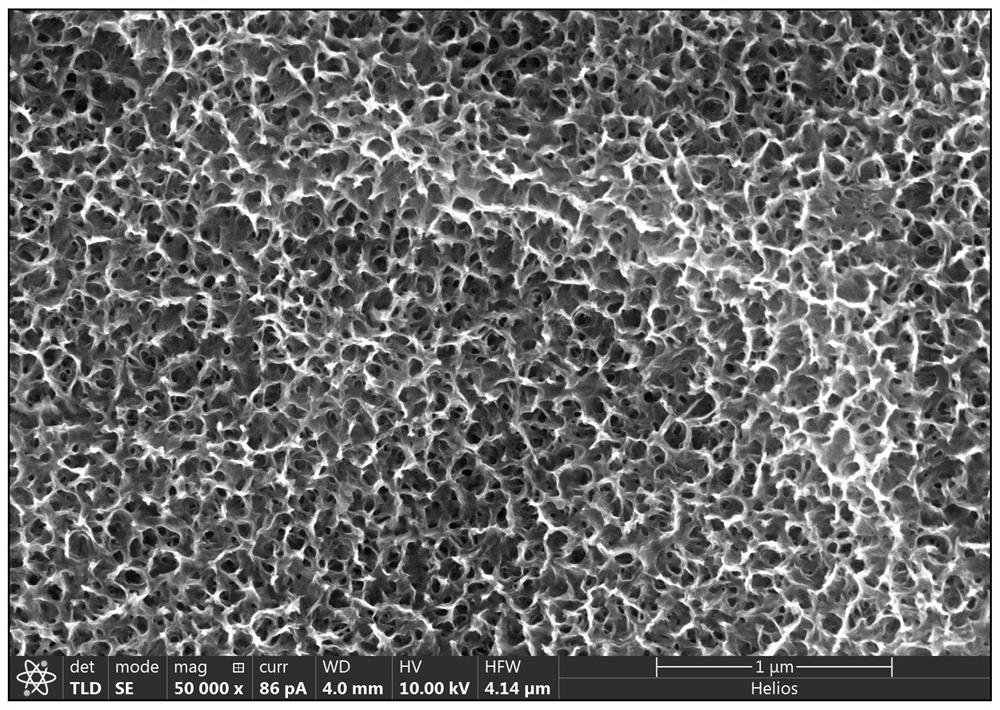 Method for preparing bioactive coating on surface of 3D printed titanium or titanium alloy
