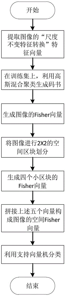 Image Classification Method Based on Spatial Fisher Vector