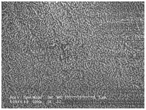 A kind of polymer material surface modification method and its product and application