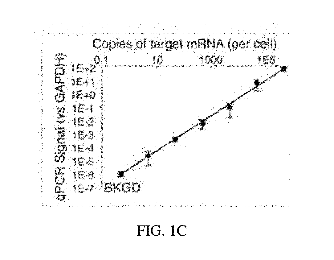 Compositions and methods of RNA analysis
