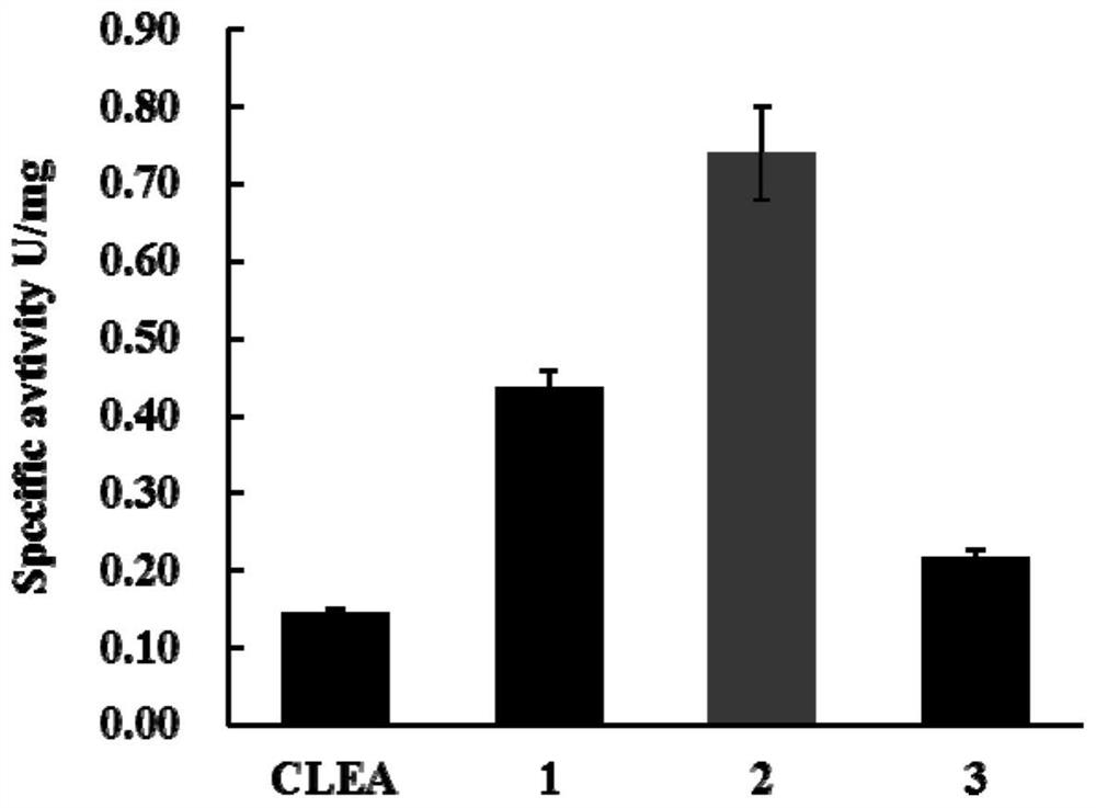 Preparation of malathion hydrolase by immobilization method of cross-linked enzyme aggregates