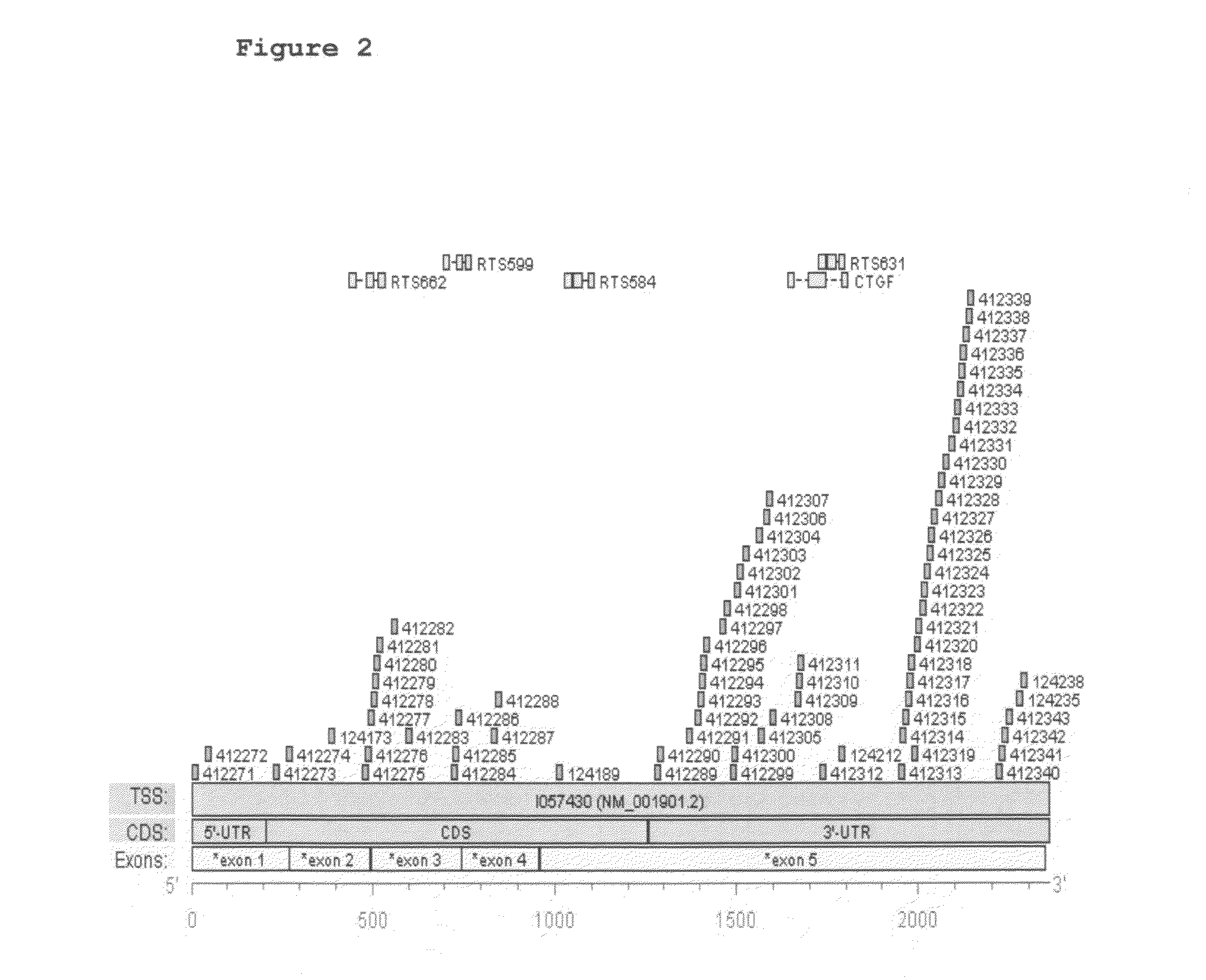 Antisense oligonucleotides directed against connective tissue growth factor and uses thereof