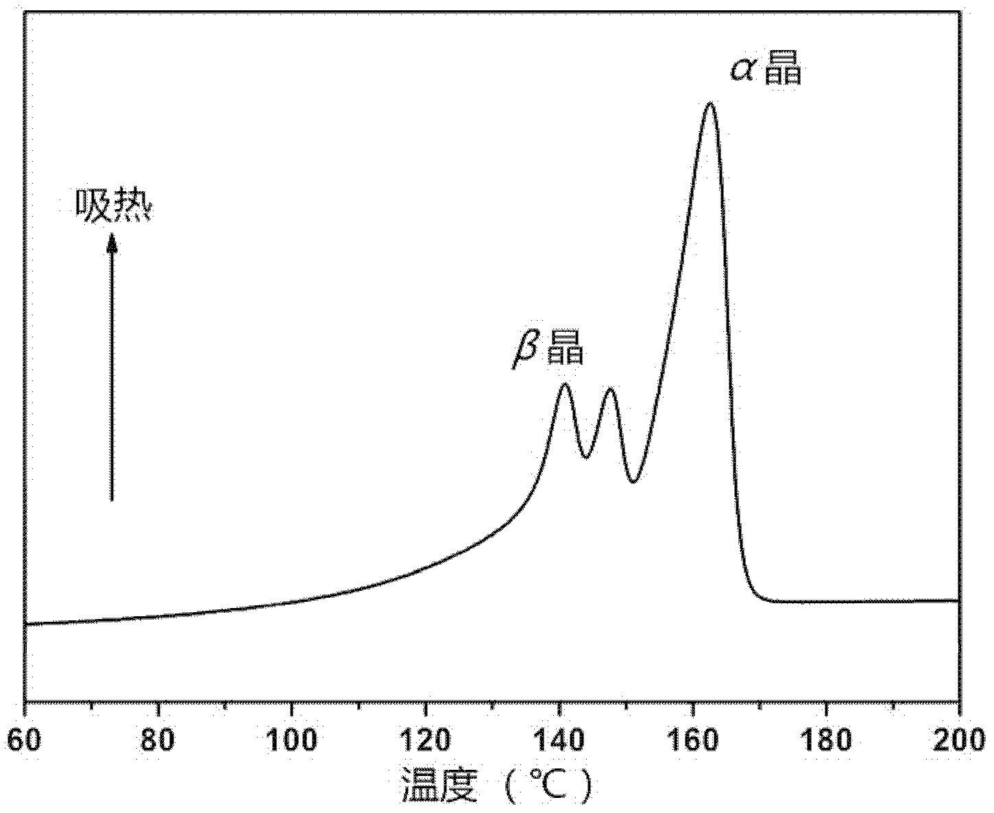 Extrusion expanded polypropylene beads and preparation method thereof