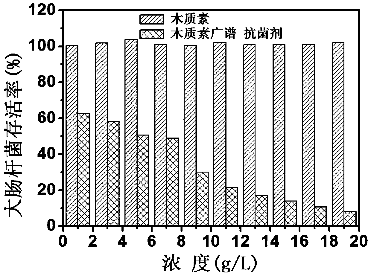 Amino acid modified lignin broad-spectrum antibacterial agent as well as preparation method and application thereof