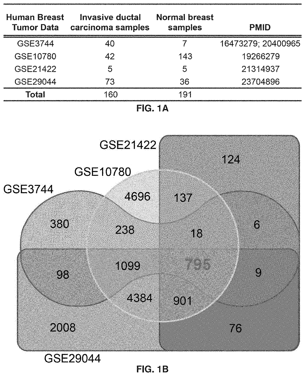 12-gene prognostic signature for breast cancer survival