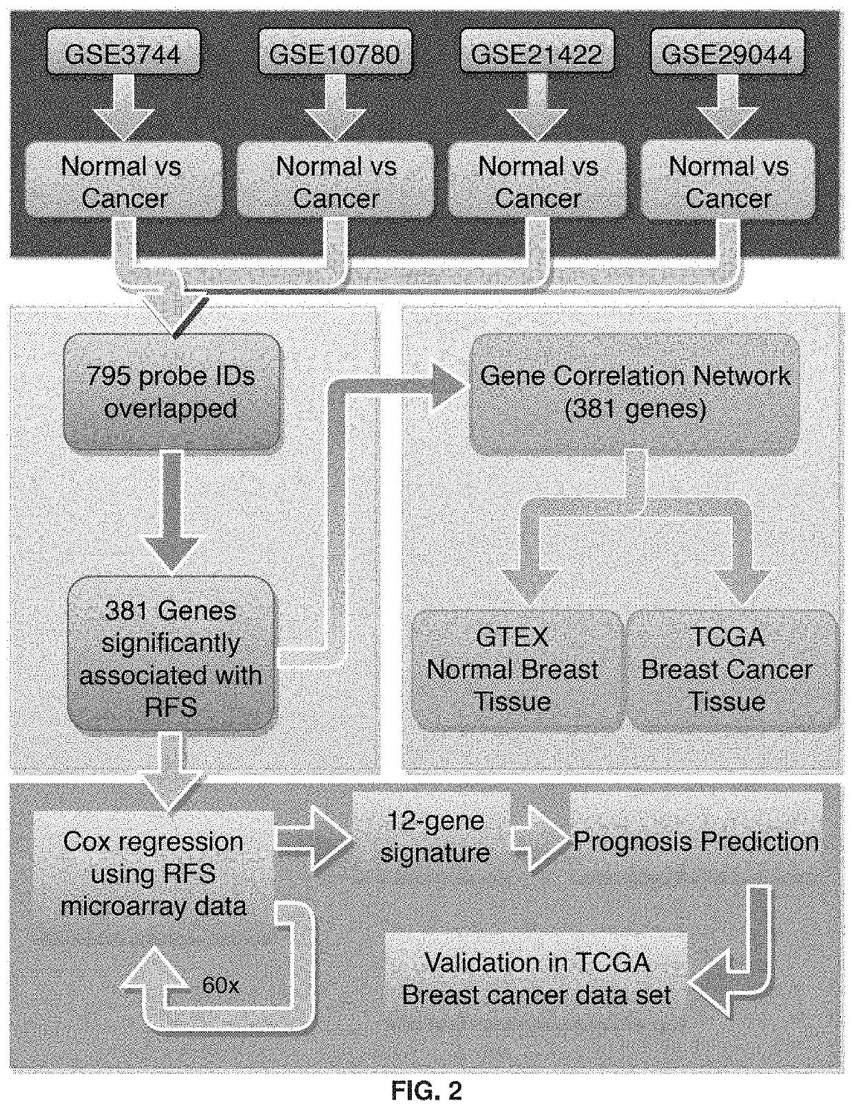 12-gene prognostic signature for breast cancer survival