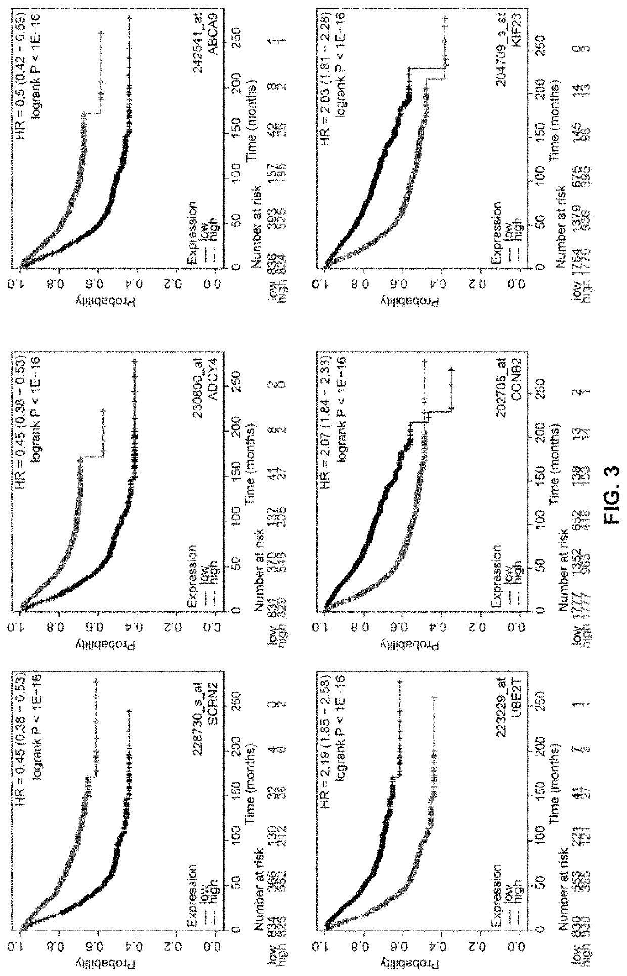 12-gene prognostic signature for breast cancer survival