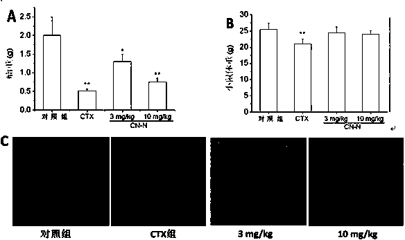 Extracting method of clinacanthus nutans anti-cancer active part and application thereof