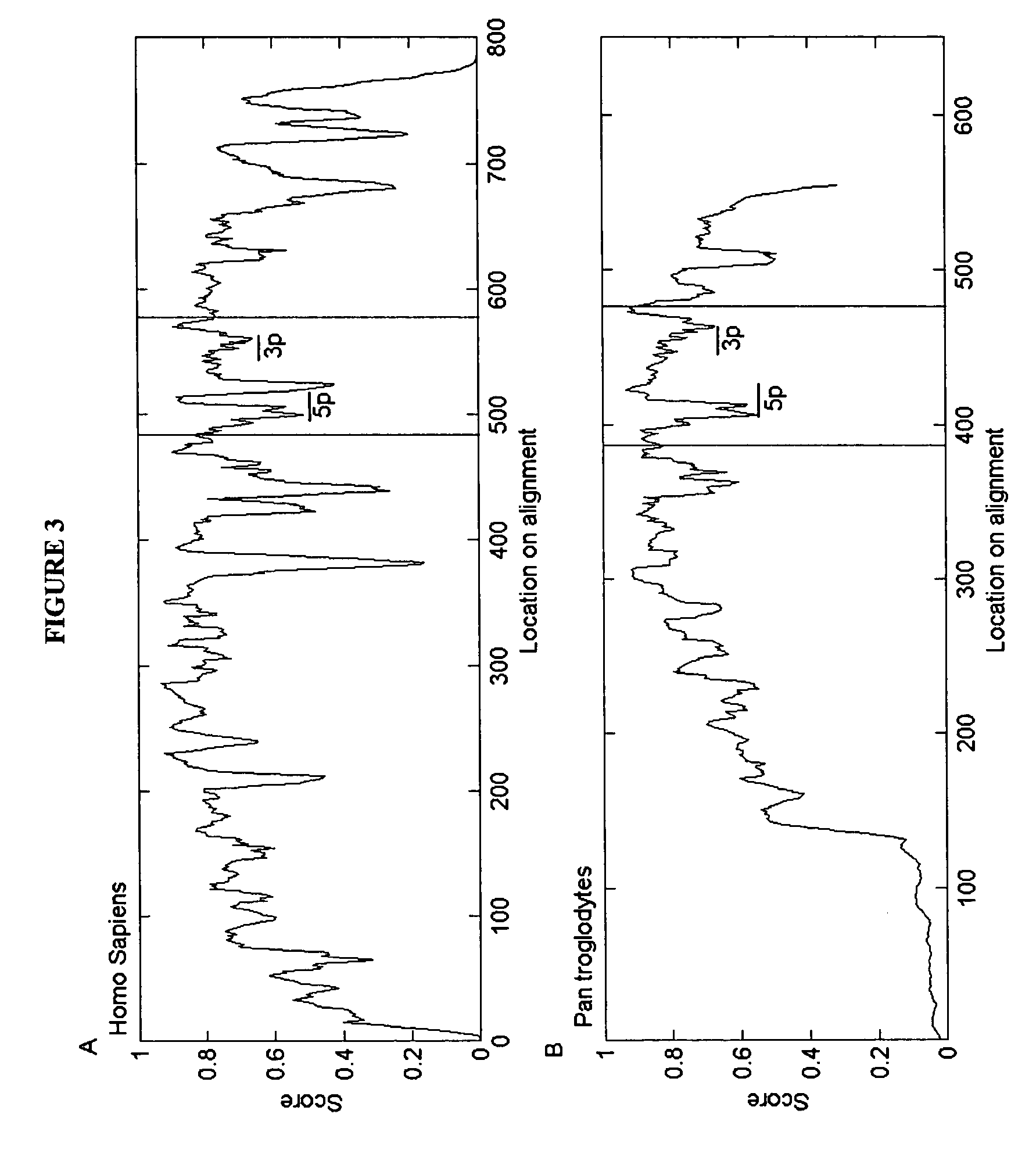Micrornas and uses thereof